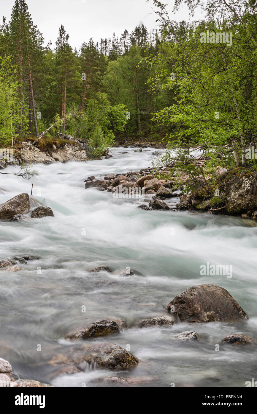 Slow motion blur détail d'une rivière déchaînée dans Hellmebotyn, Tysfjord, Norway, Scandinavia, Europe Banque D'Images