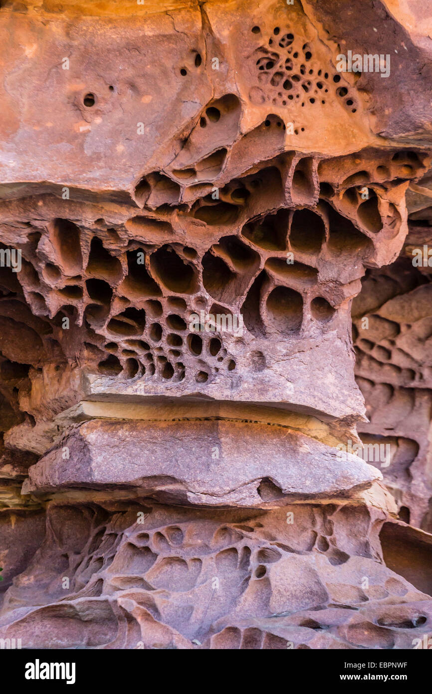 Détail de l'érosion éolienne et dans les falaises de grès du roi George River, Koolama Bay, Kimberley, Australie Banque D'Images