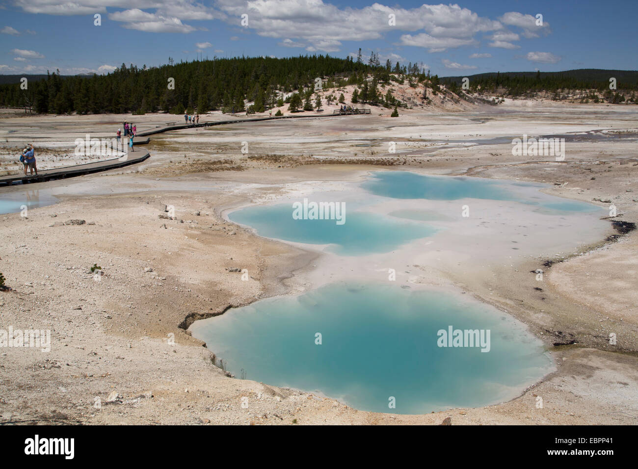 Bassin en porcelaine, Norris Geyser Basin, Parc National de Yellowstone, UNESCO World Heritage Site, Wyoming, United States of America Banque D'Images