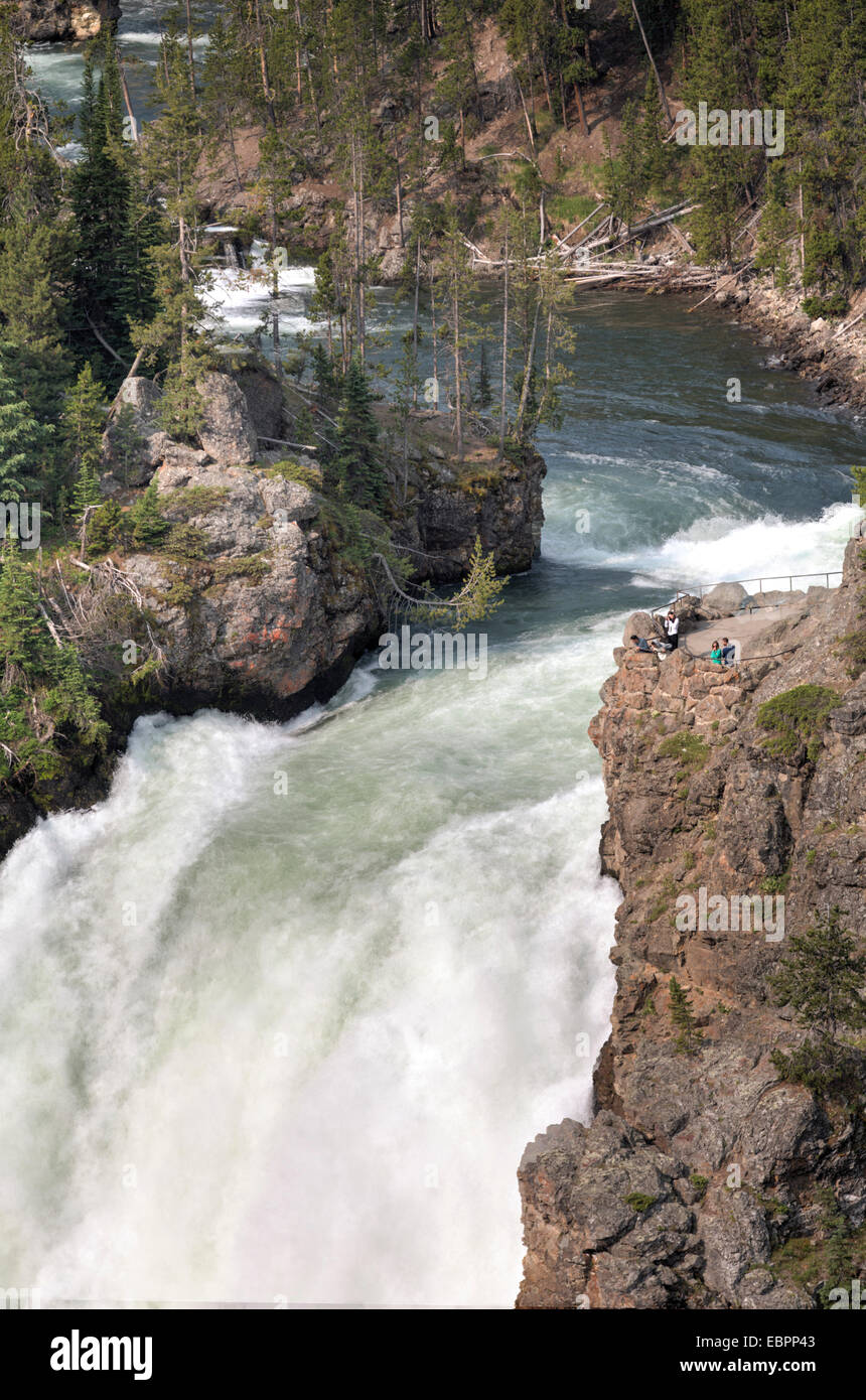 Upper Falls, rivière Yellowstone, le Parc National de Yellowstone, UNESCO World Heritage Site, Wyoming, United States of America Banque D'Images