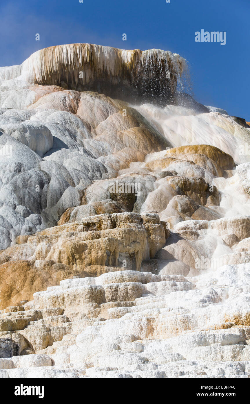 Devil's Thumb, Mammoth Hot Springs, Parc National de Yellowstone, UNESCO World Heritage Site, Wyoming, United States of America Banque D'Images