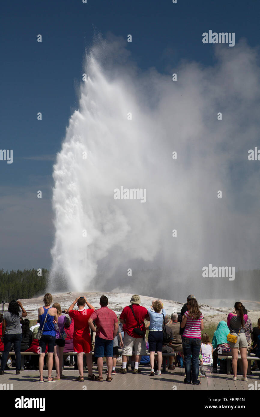 Les touristes regarder Old Faithful Geyser, le Parc National de Yellowstone, UNESCO World Heritage Site, Wyoming, United States of America Banque D'Images