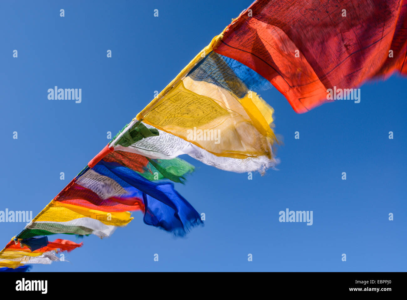 Les drapeaux de prières au monastère Namgyal Tsemo à Leh, Ladakh, Himalaya, Inde, Asie Banque D'Images