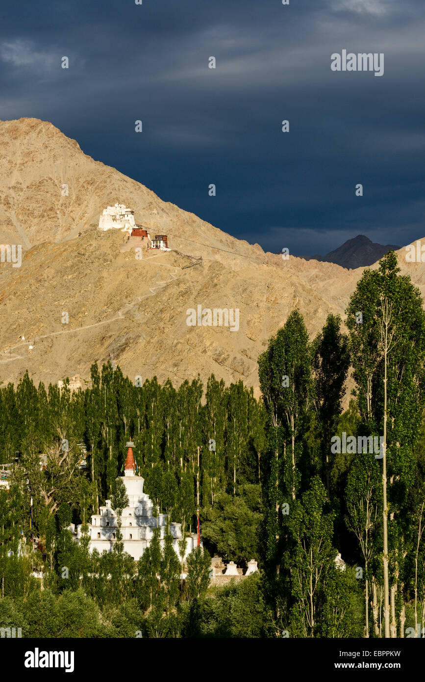 Au cours de la lumière orageuse Namgyal Tsemo fort et monastère (Gompa), Leh, Ladakh, Inde, Asie Banque D'Images