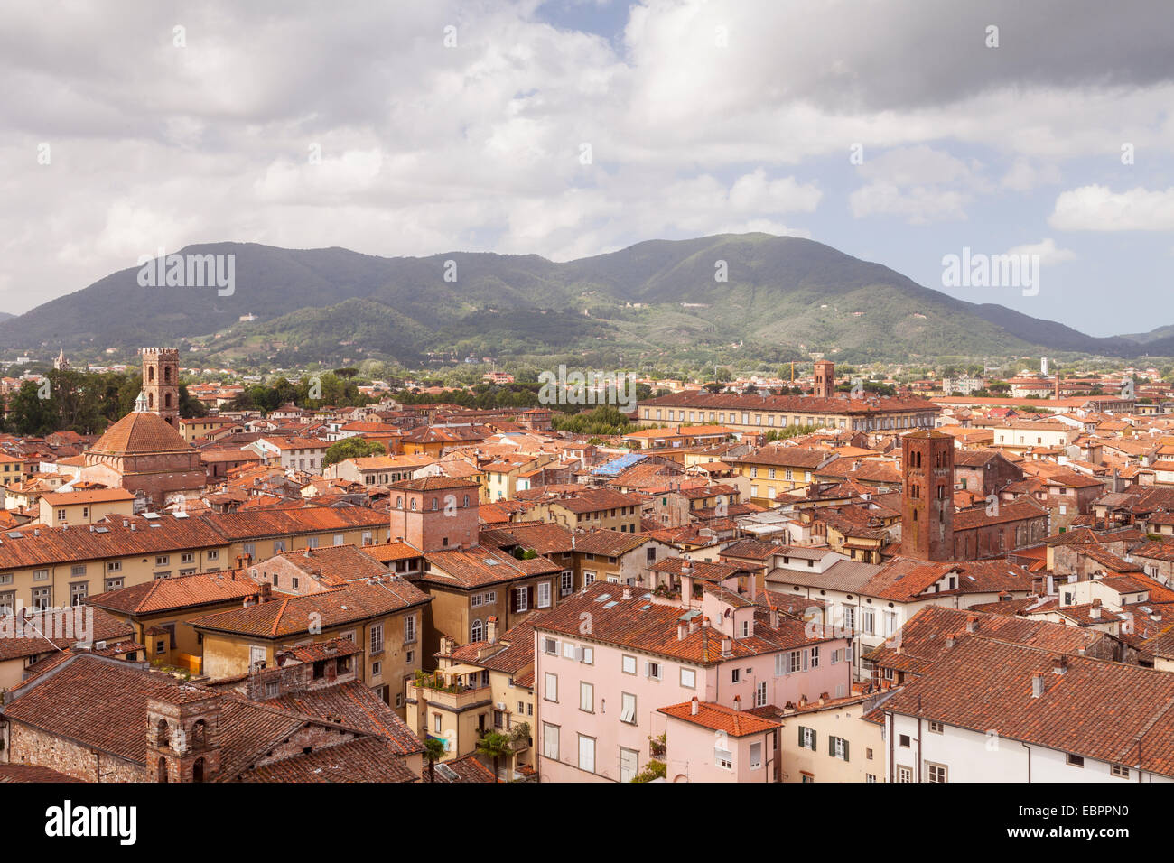 Les toits du centre historique de Lucques, Toscane, Italie, Europe Banque D'Images