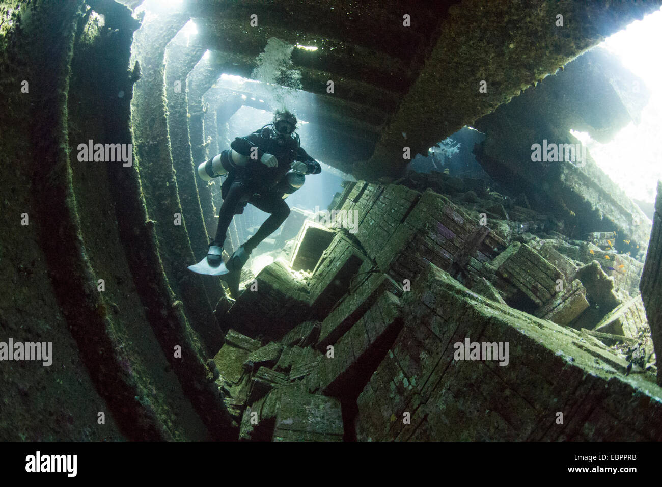 Plongée sous-marine de l'épave du Giannis D, Mer Rouge, Egypte, Afrique du Nord, Afrique Banque D'Images