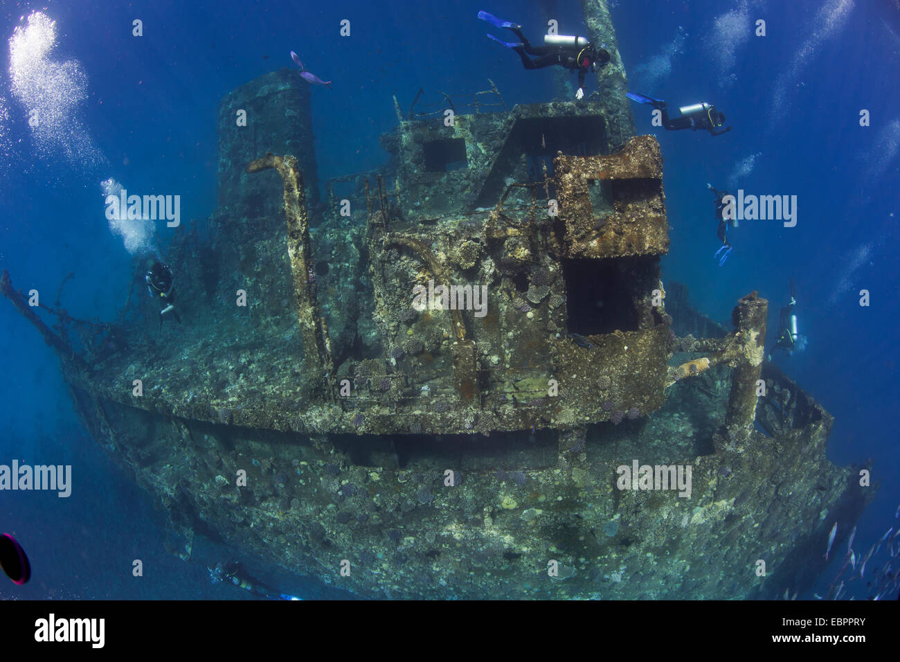 Plongée sous-marine de l'épave du Giannis D, Mer Rouge, Egypte, Afrique du Nord, Afrique Banque D'Images