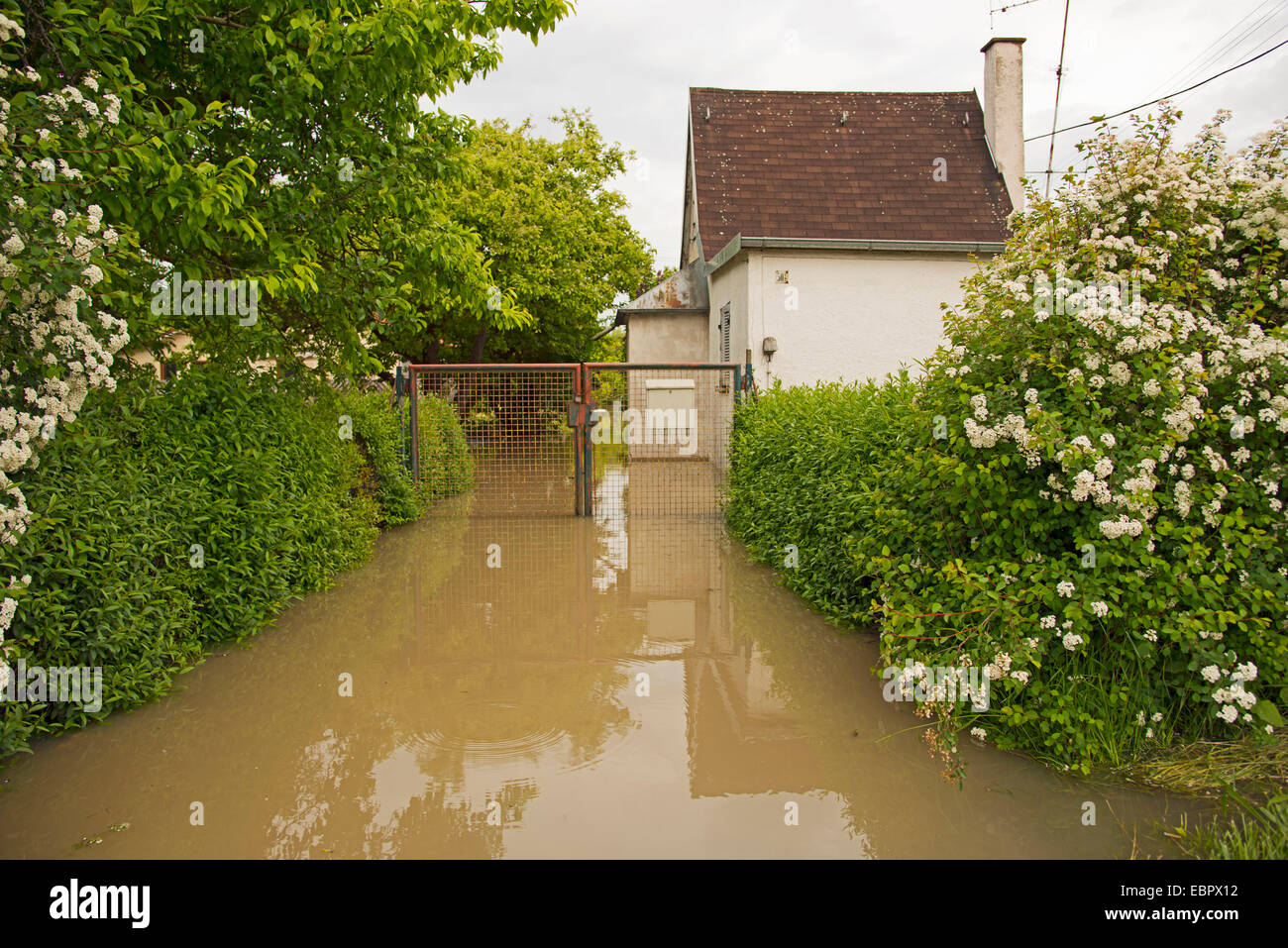 Allotissement inondées jardin en Ulm, Allemagne, Bade-Wurtemberg, Ulm Banque D'Images