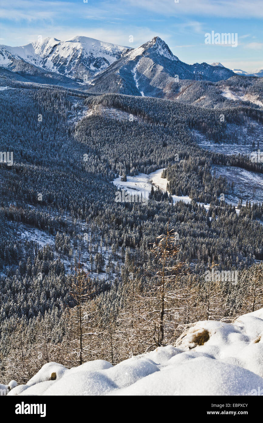 Wielki Kopieniec, Parc National des Tatras, Pologne Banque D'Images