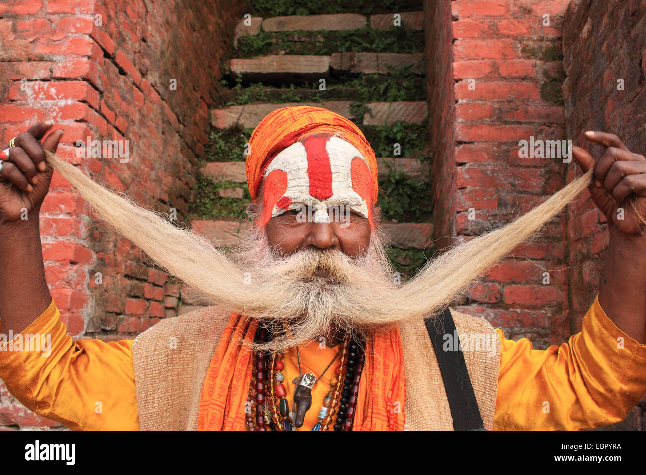 Moine sadhu holding up ses poils de barbe, Népal, Katmandou Pashupatinath, Banque D'Images