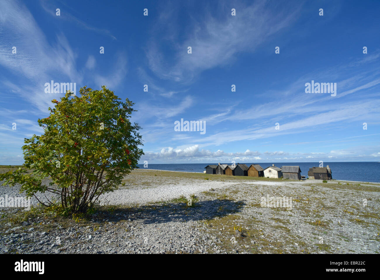 Vieux village de pêcheurs Helgumannen sur Îles Féroé, la Suède, l'Helgumannen, Gotland Banque D'Images