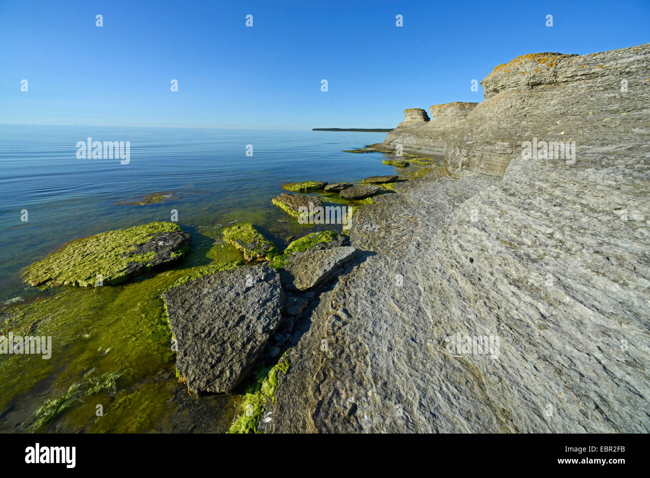 Les raukar Byrum, shell Limestone Coast, la Suède, l'Oeland, Byrum Raukar Banque D'Images