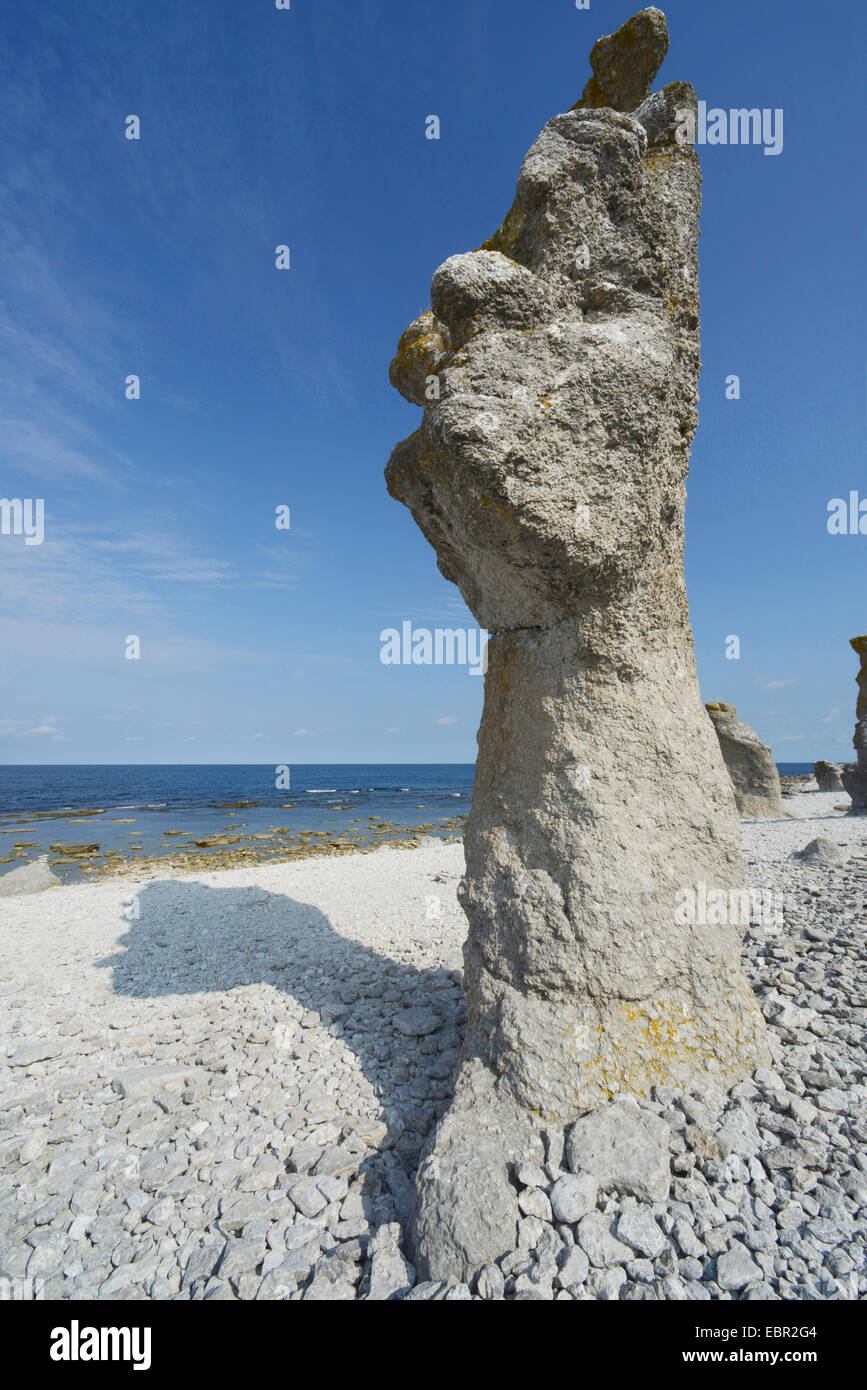 Raukar, seastacks de Langhammars, Suède, Gotland, Sweden Banque D'Images