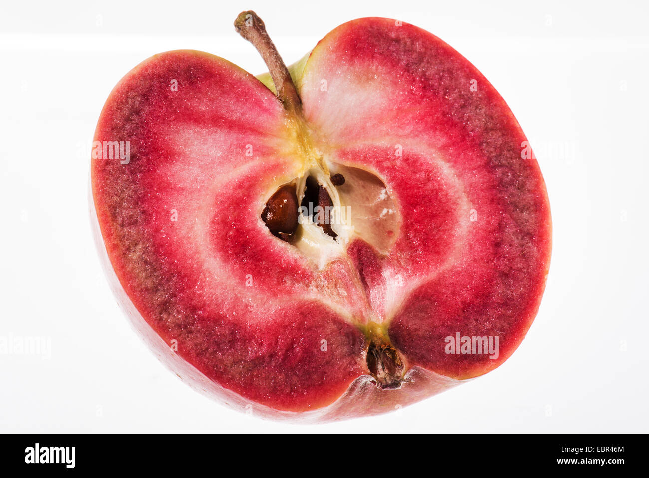 Sélection de nouvelles apple rouge continu Banque D'Images
