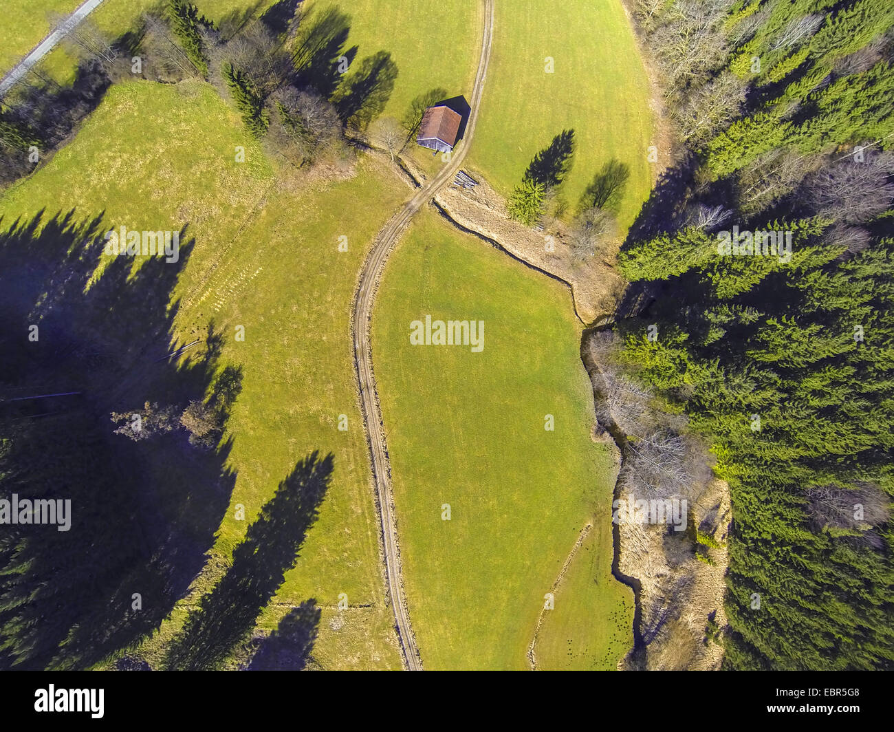 Vue aérienne de prairie bordée d'avec le chemin et en refuge au début du printemps, l'Allemagne, la Bavière Banque D'Images