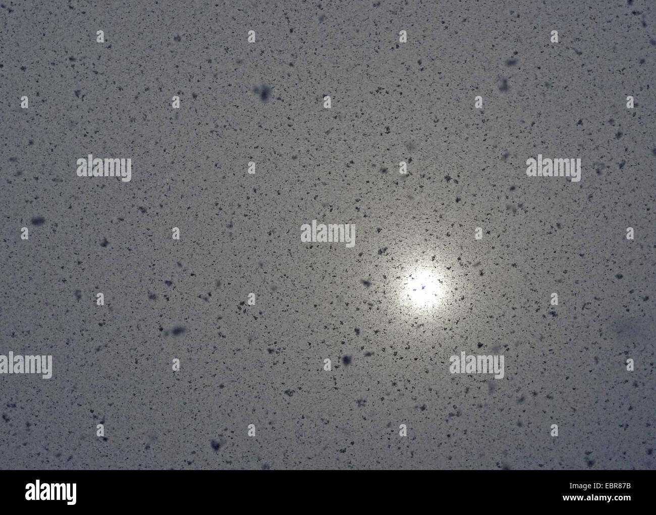 Soleil et neige, Norvège, Troms, Tromsoe Banque D'Images