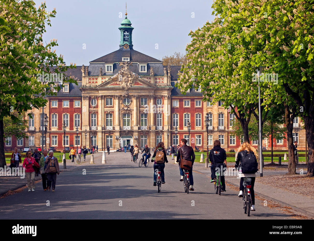 Les cyclistes en face du Palace et de l'Université de l'Muenser, Allemagne, Rhénanie du Nord-Westphalie, Muenster Banque D'Images