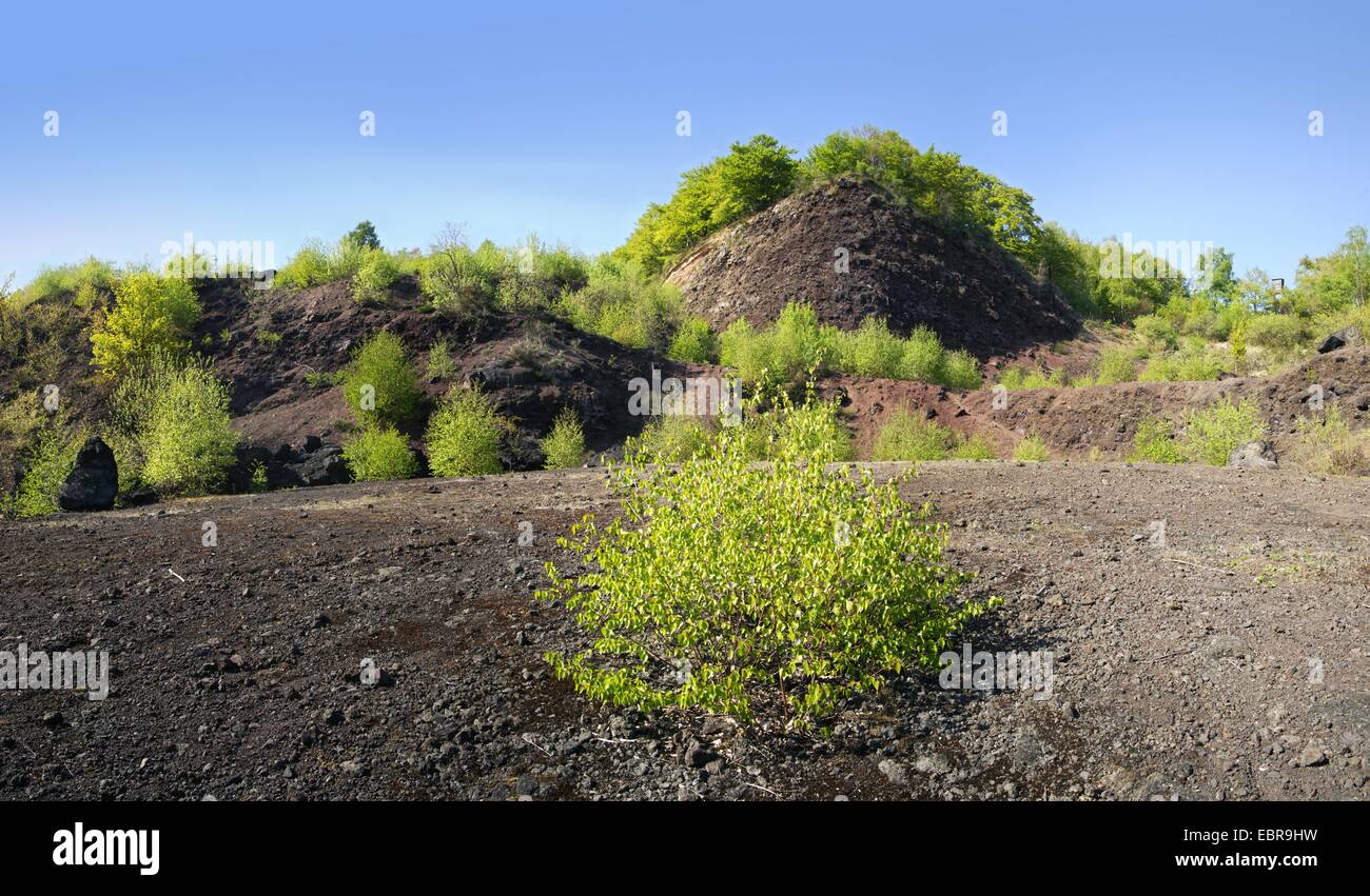 Cratère dans l'Eifel au printemps, l'Allemagne, Rhénanie-Palatinat, Laacher-See, Eifel Banque D'Images