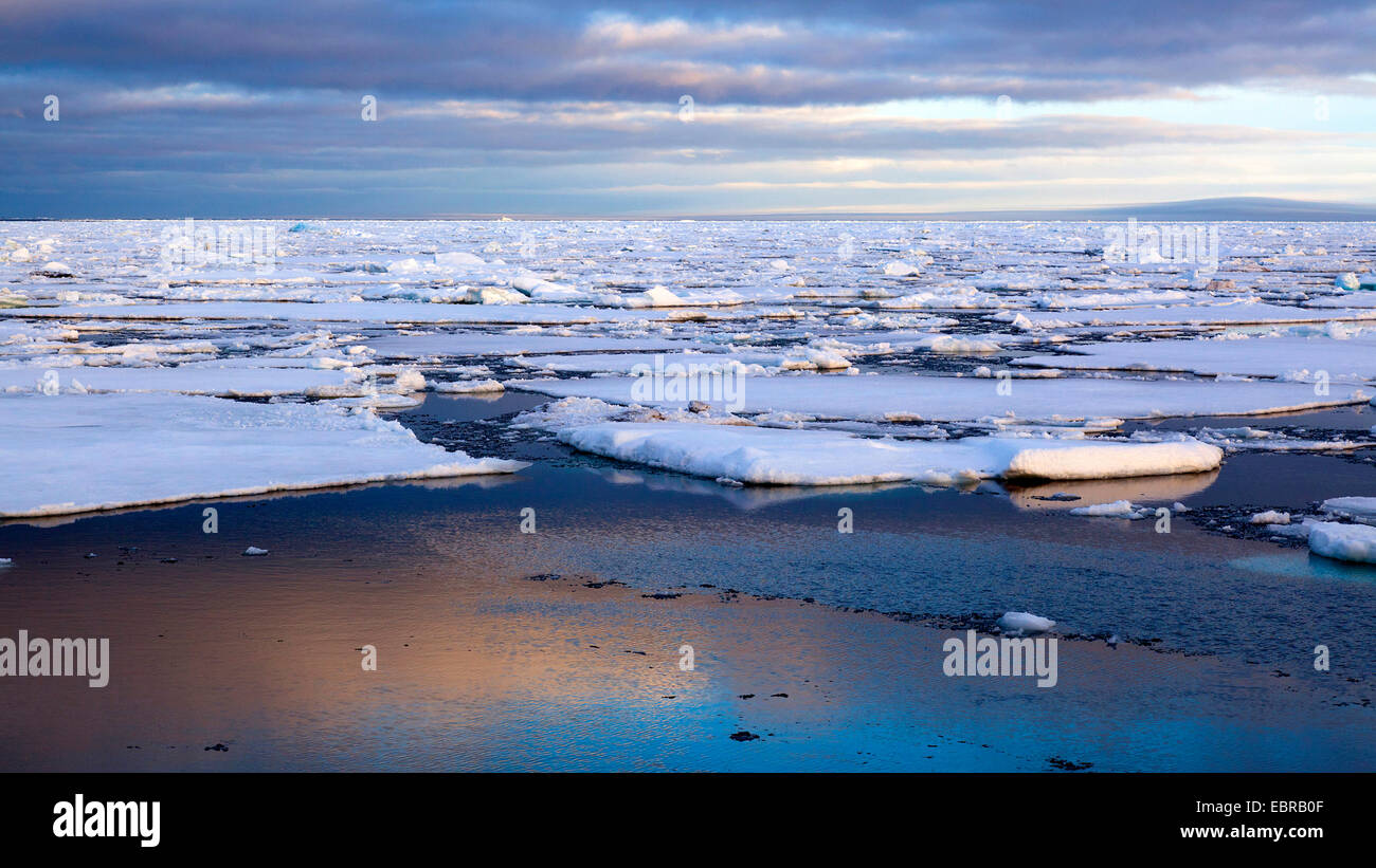 Dans la lumière du soir Liefdefjord, Norvège, Svalbard Banque D'Images