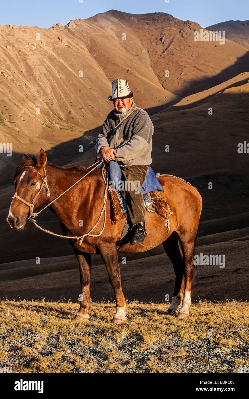 Cheval domestique (Equus caballus przewalskii. f), Kirghizian avec cavalier coiffe traditionnelle dans un paysage vallonné, le Kirghizistan, Naryn , Lac Song Kol Banque D'Images