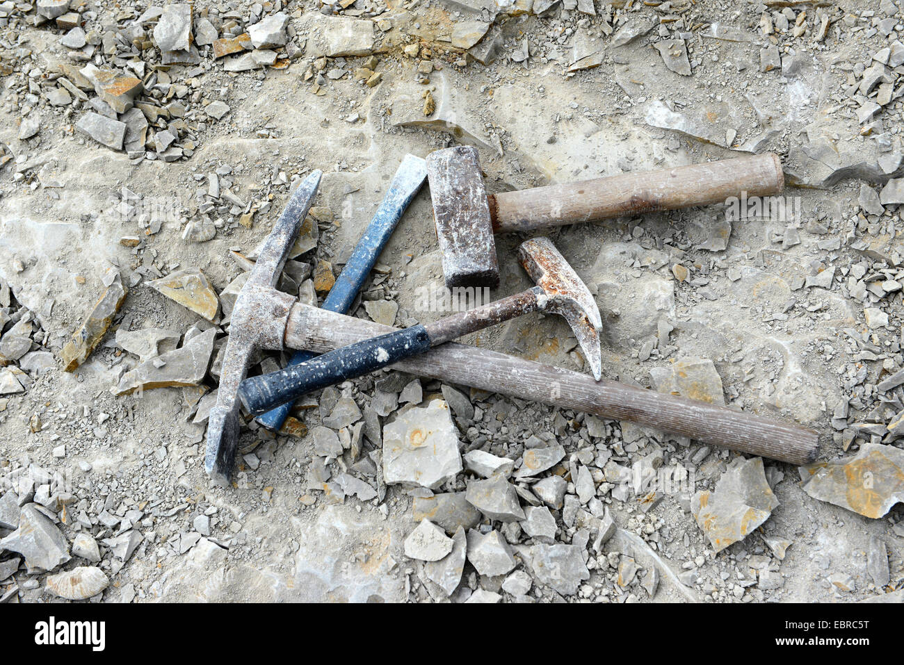 La recherche de fossiles comme ammon avec marteau et d'autres ustensiles. Banque D'Images