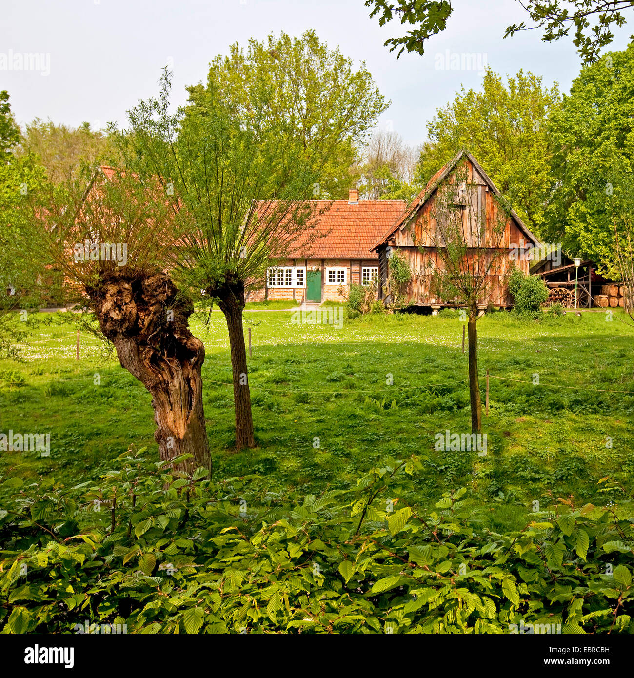 Old house in Muehlenhof musée en plein air , l'Allemagne, en Rhénanie du Nord-Westphalie, région de Münster, Münster Banque D'Images
