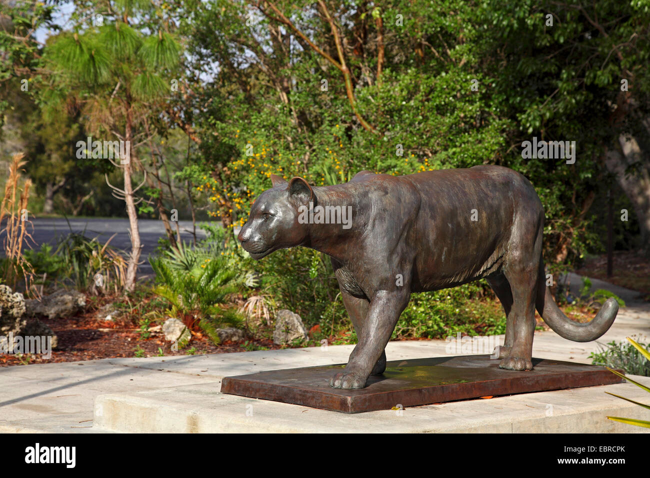 Cougar sculpture Banque de photographies et d'images à haute résolution -  Alamy