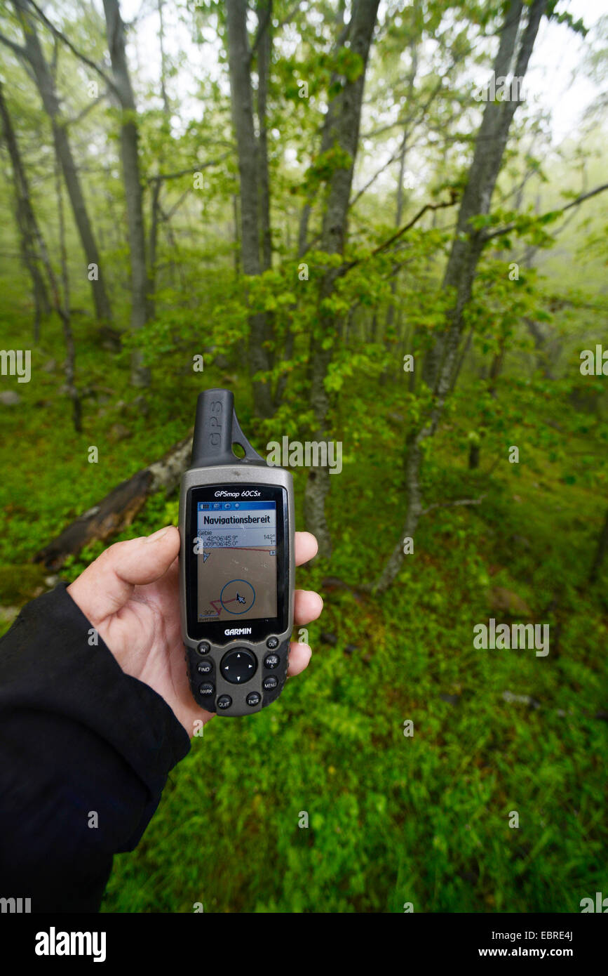 La tenue d'un appareil GPS dans une forêt brumeuse, France, Corse Banque D'Images