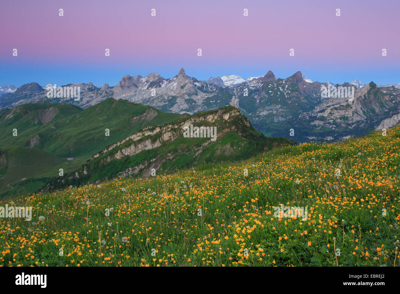 Alpes Suisses avec, Chaiserstock Fulen et Rossstock, Suisse Banque D'Images