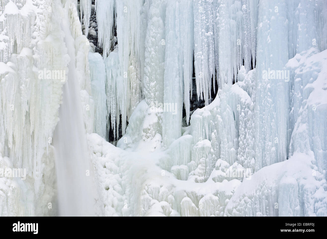 Cascade de glace, Njupeskaer Fulufjaellet la Norvège, Dalécarlie, Parc National Banque D'Images