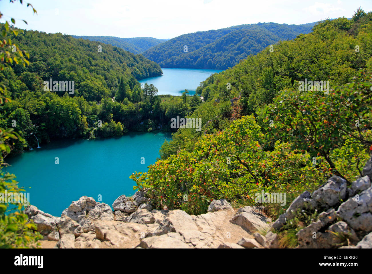 Voir au lac Milanovac et Jezero Kozjak, la Croatie, les lacs de Plitvice NP Banque D'Images