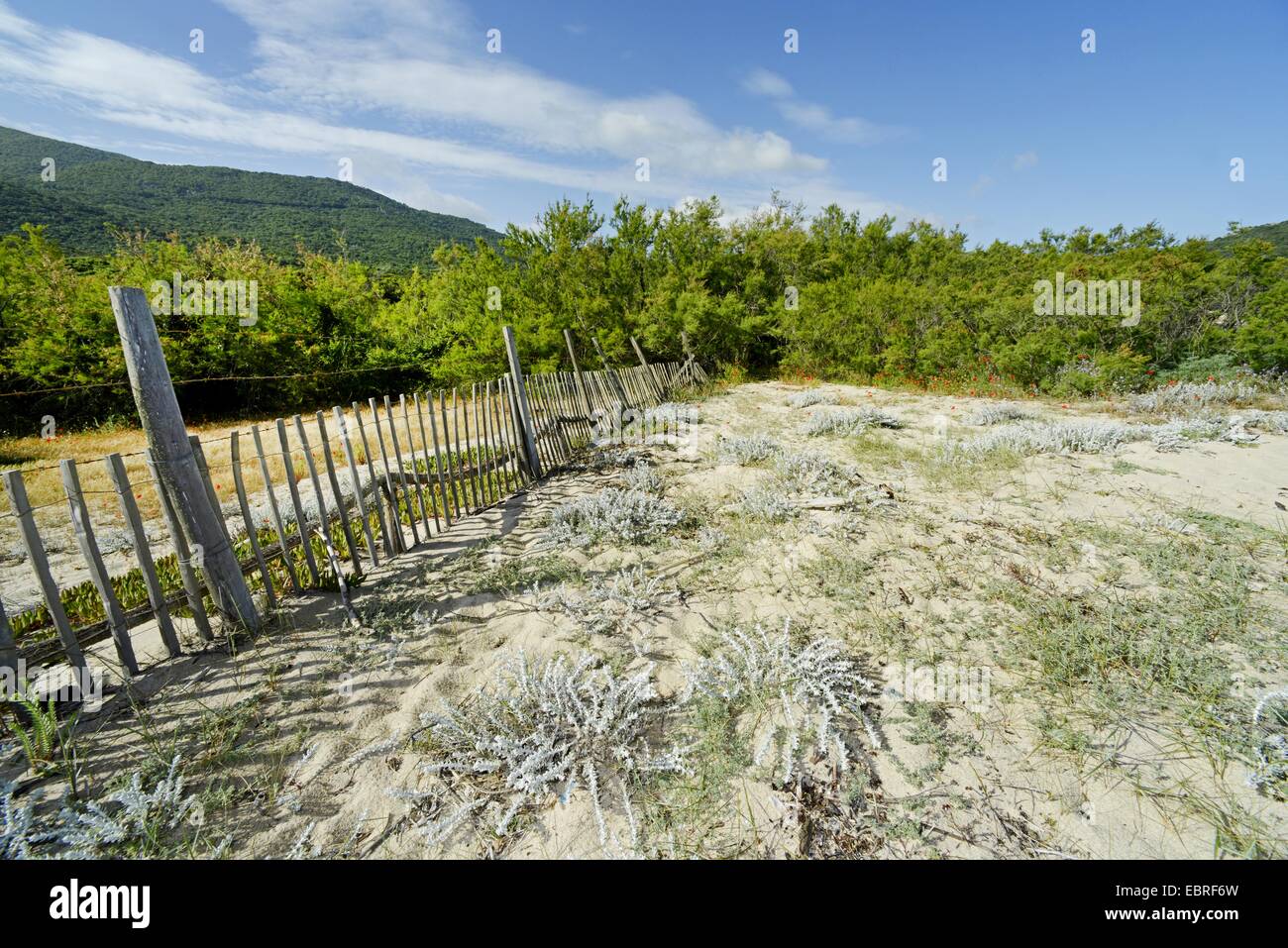 Clôture sur une dune à Corse, France, Corse Banque D'Images