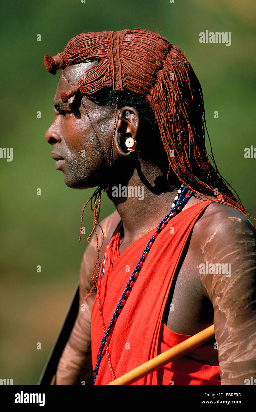 Samburu guerrier aux cheveux de couleur ocre, Kenya, Masai Mara Banque D'Images