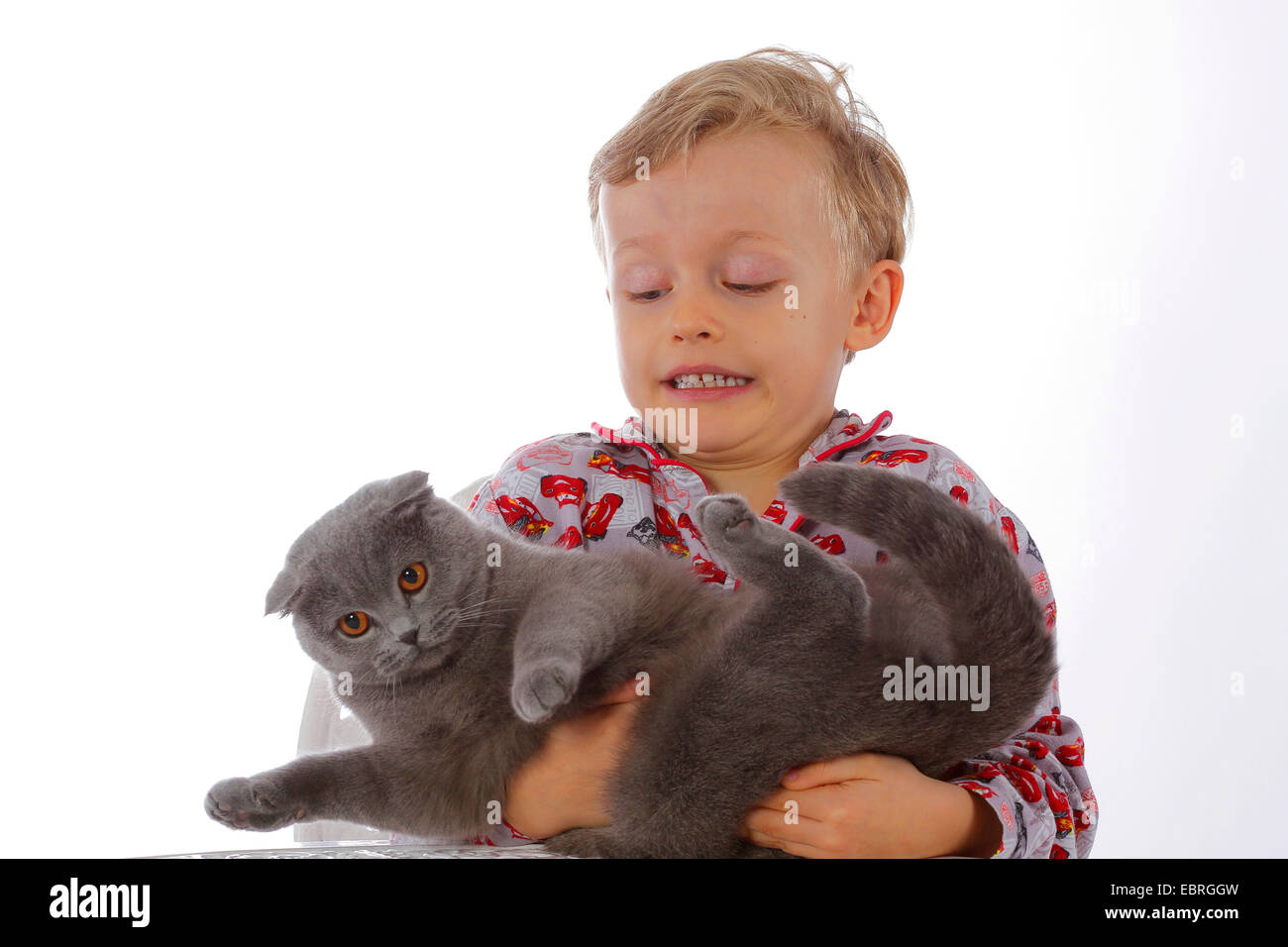 Chat domestique, le chat domestique (Felis silvestris catus) f., petit garçon en pyjama avec scepticisme holding un chat sur bras Banque D'Images