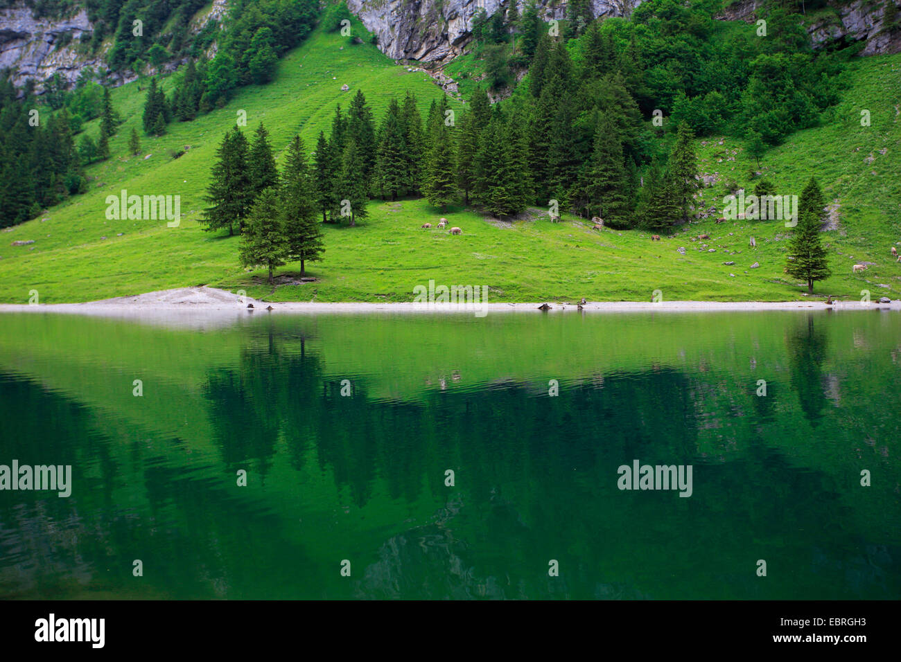 Le lac de Seealp, Suisse Photo Stock - Alamy