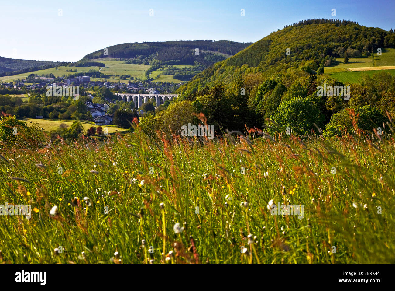 Beau paysage de printemps avec le viaduc à Willingen, Allemagne, Hesse, Willingen Banque D'Images