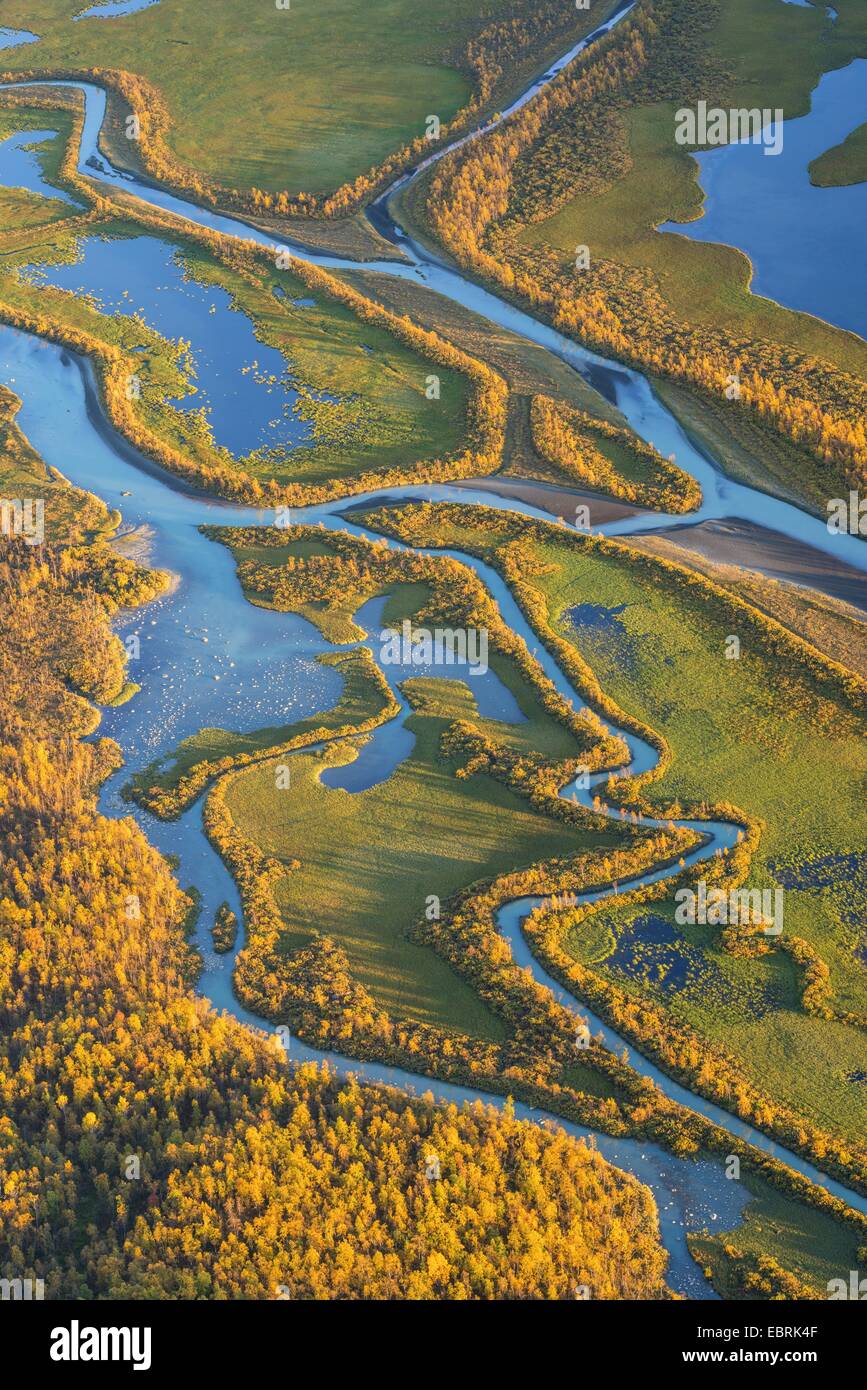L'automne à l'Laitauredelta dans la lumière du soir, la Suède, la Laponie, Norrbotten Banque D'Images
