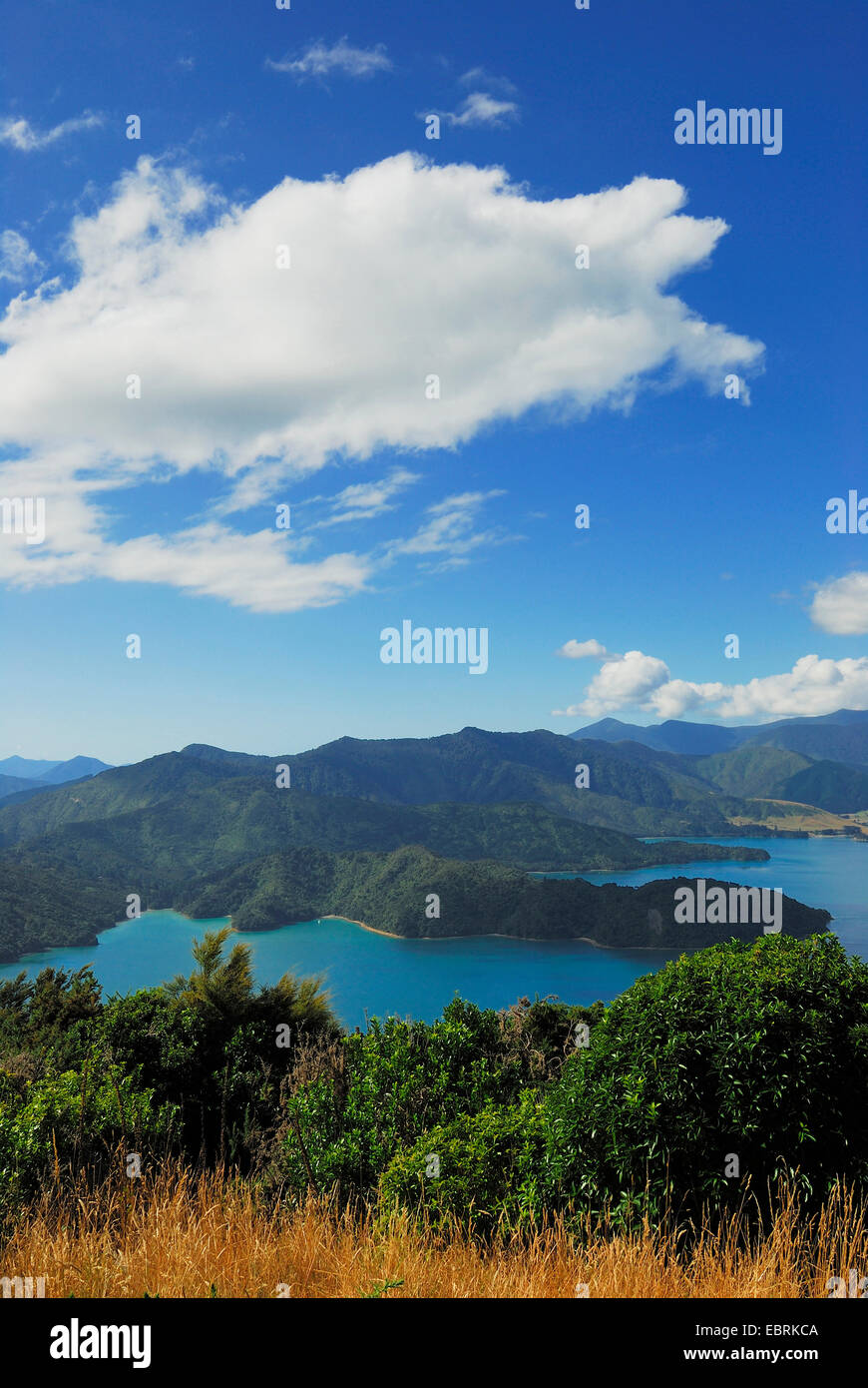 Vue depuis la montagne d'Onahau Kenepuru Sound, Nouvelle-Zélande, Sud de l'île, le Parc National de Marlborough Sounds Banque D'Images