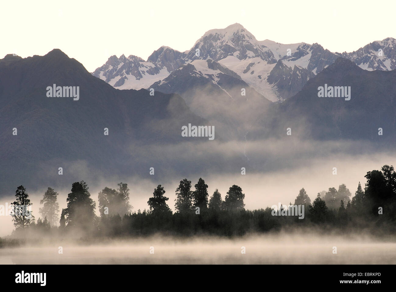 Vue panoramique du lac Matheson avec brume du matin au Mont Tasman (3498 m), Nouvelle-Zélande, Sud de l'Île, Westland National Park Banque D'Images