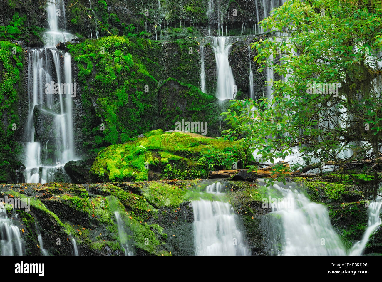 Purakaunui Falls, Nouvelle-Zélande, Sud de l'île, le Parc Forestier de Catlins Banque D'Images