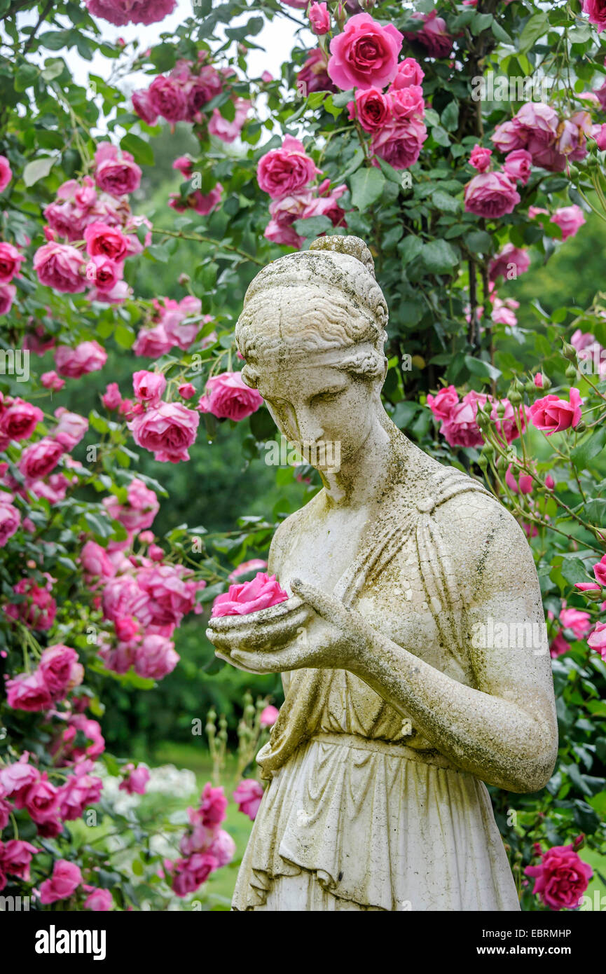 Plantes ornementales rose (Rosa 'Parade'), le cultivar Parade avec sculpture d'une femme Banque D'Images