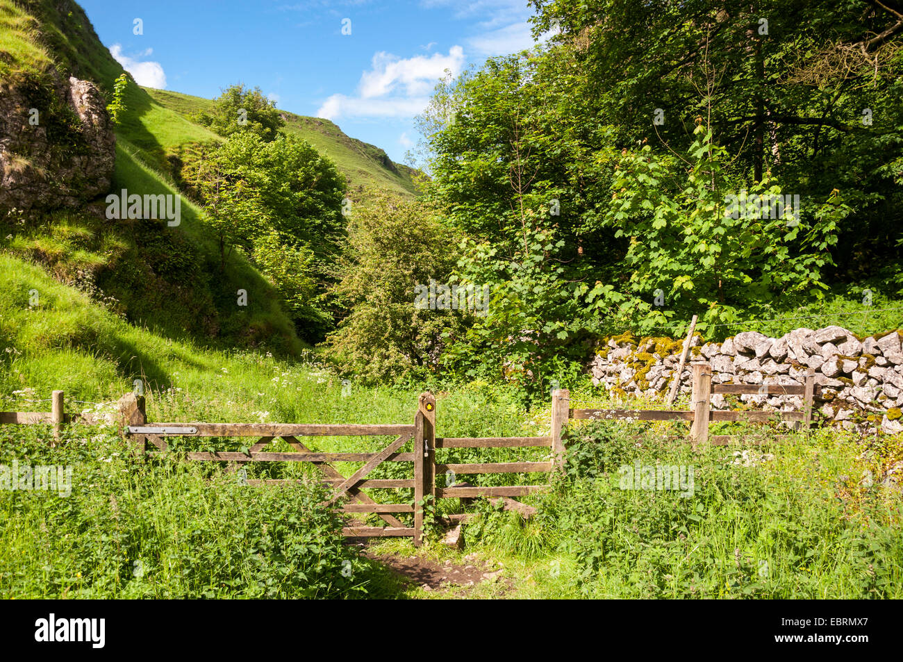 Gate et stile sur sentier menant vers le bas en wolfscote dale dans le peak district sous le soleil d'été. Banque D'Images