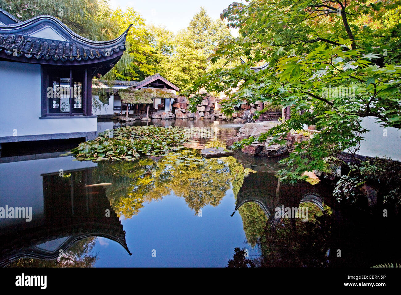 Le jardin chinois de l'Université de la Ruhr de Bochum, Allemagne, Rhénanie du Nord-Westphalie, région de la Ruhr, Bochum Banque D'Images
