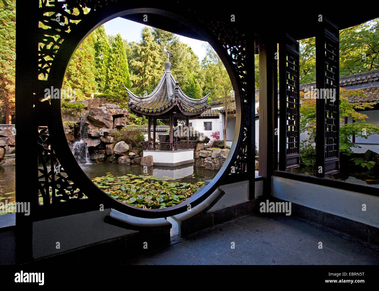Le jardin chinois de l'Université de la Ruhr de Bochum, Allemagne, Rhénanie du Nord-Westphalie, région de la Ruhr, Bochum Banque D'Images