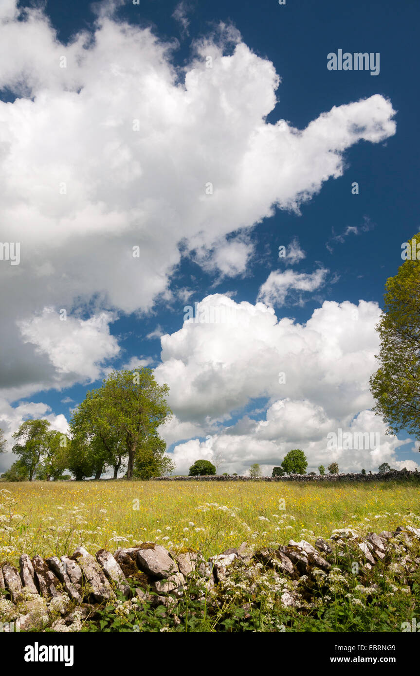 Les formes des nuages dans un paysage idyllique de l'été anglais. Pré de fleurs sauvages et de murs en pierre calcaire sur une journée ensoleillée dans le Peak District. Banque D'Images