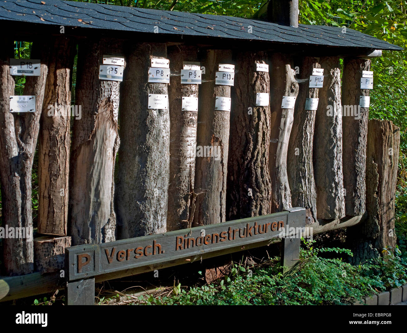 Différents types d'écorces dans jardin sensoriel d'Atkinson Park, l'Allemagne, l'Bremen-Lesum Banque D'Images