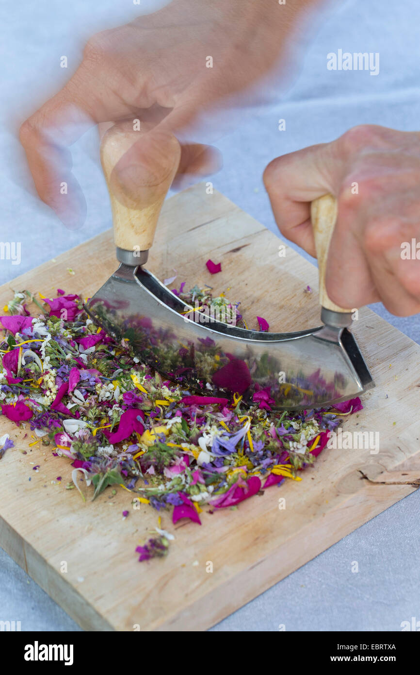 Les pétales sont comestibles choped, Allemagne Banque D'Images