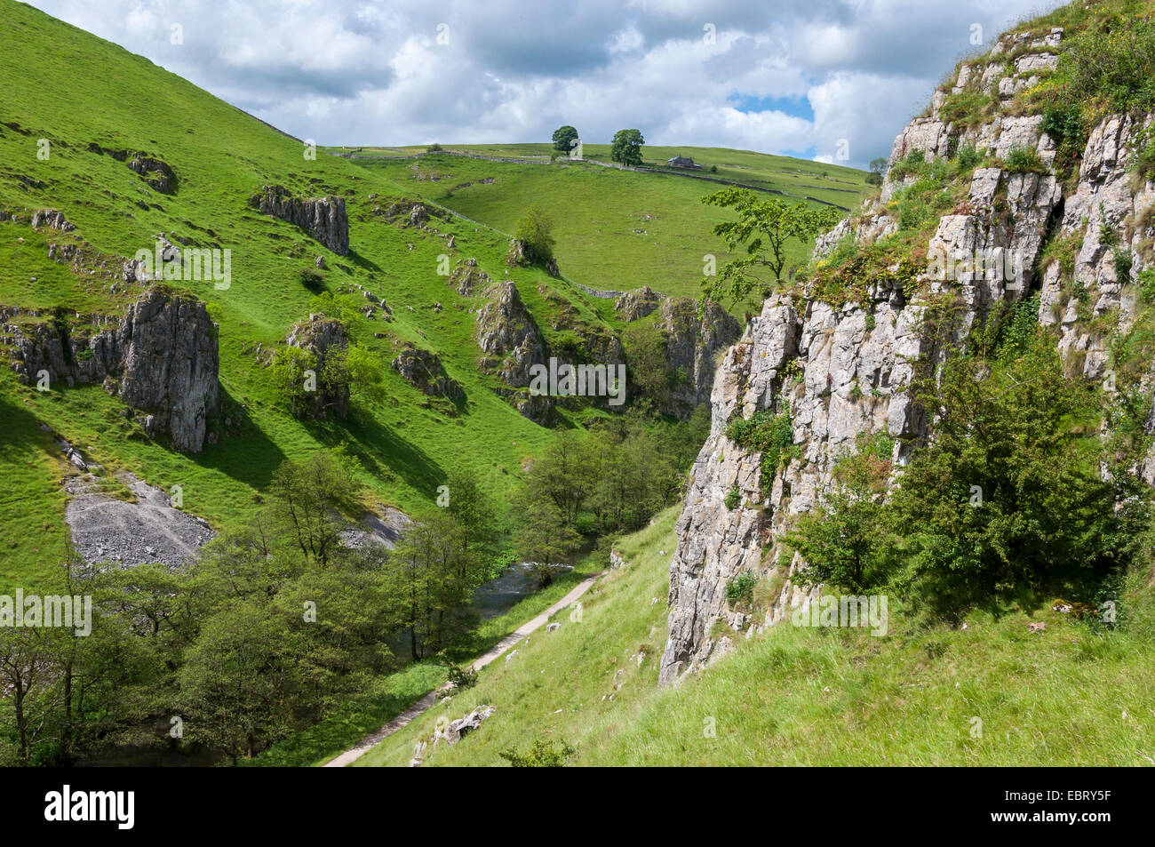 Les roches de calcaire dans le paysage spectaculaire de Wolfscote Dale dans le Peak District. Une belle journée d'été. Banque D'Images