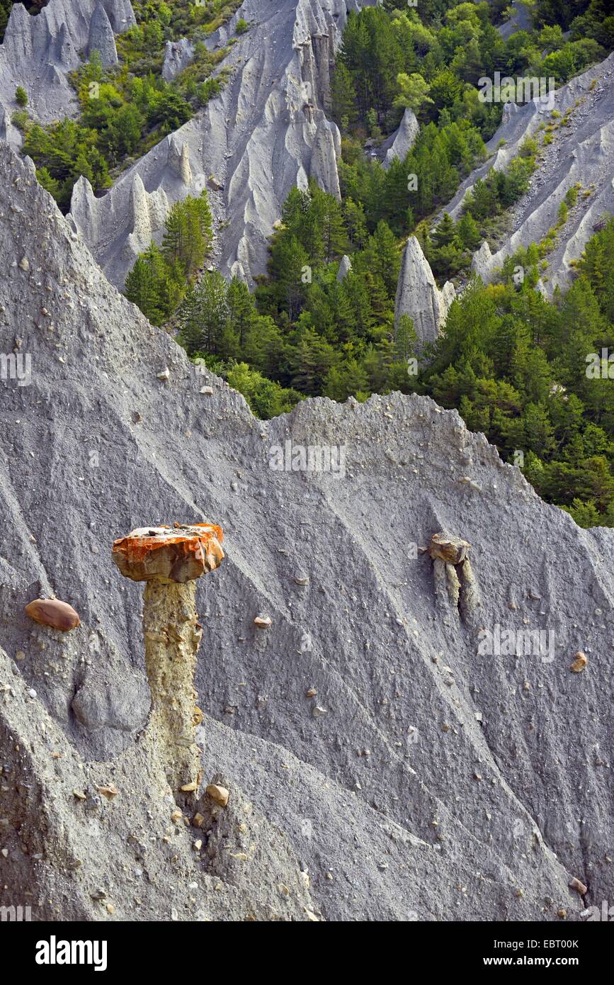 Les demoiselles coiffées de Theus, rock formation, France, Hautes Alpes, Theus Banque D'Images