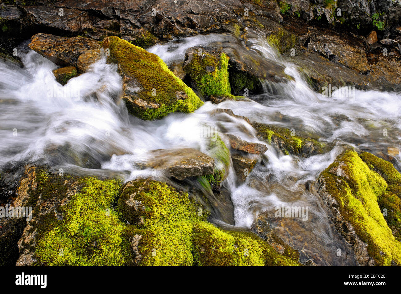 Chute d'eau sur le fleuve d'Gosdolasque, France, Alpes Maritimes, le Parc National du Mercantour, le Belvedere Saint Marin de Vesubie Banque D'Images